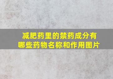 减肥药里的禁药成分有哪些药物名称和作用图片