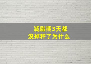 减脂期3天都没掉秤了为什么