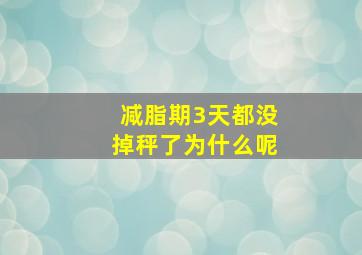 减脂期3天都没掉秤了为什么呢