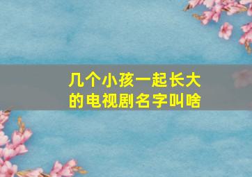 几个小孩一起长大的电视剧名字叫啥