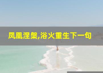 凤凰涅槃,浴火重生下一句