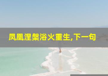 凤凰涅槃浴火重生,下一句