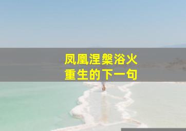 凤凰涅槃浴火重生的下一句