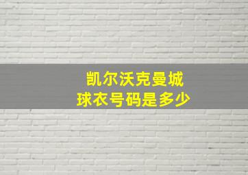 凯尔沃克曼城球衣号码是多少