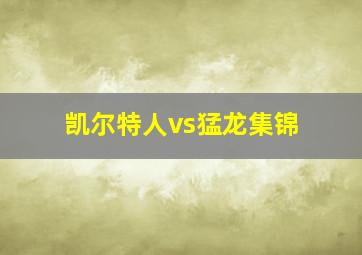 凯尔特人vs猛龙集锦