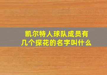 凯尔特人球队成员有几个探花的名字叫什么