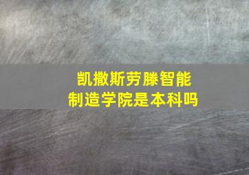 凯撒斯劳滕智能制造学院是本科吗