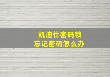 凯迪仕密码锁忘记密码怎么办