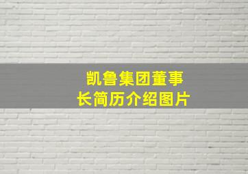 凯鲁集团董事长简历介绍图片