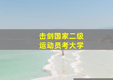 击剑国家二级运动员考大学