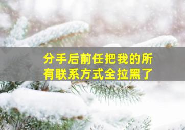 分手后前任把我的所有联系方式全拉黑了