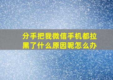 分手把我微信手机都拉黑了什么原因呢怎么办