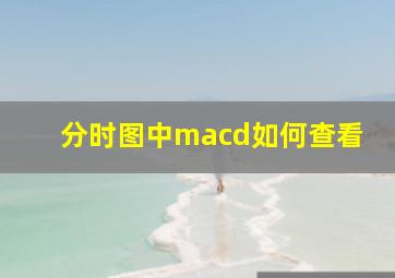 分时图中macd如何查看