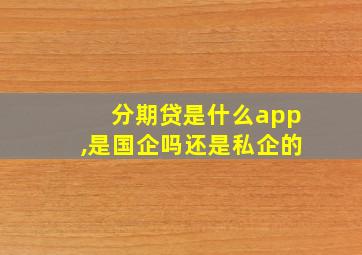 分期贷是什么app,是国企吗还是私企的