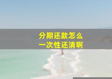 分期还款怎么一次性还清啊