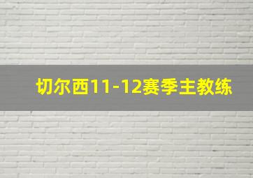 切尔西11-12赛季主教练