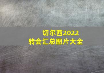 切尔西2022转会汇总图片大全