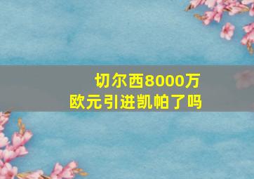 切尔西8000万欧元引进凯帕了吗