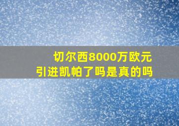 切尔西8000万欧元引进凯帕了吗是真的吗