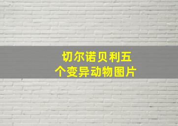 切尔诺贝利五个变异动物图片