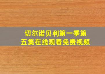 切尔诺贝利第一季第五集在线观看免费视频