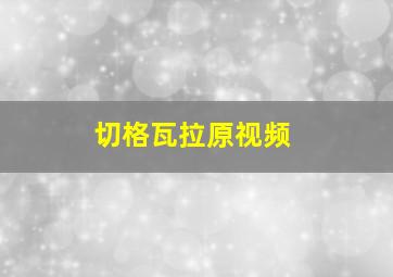 切格瓦拉原视频