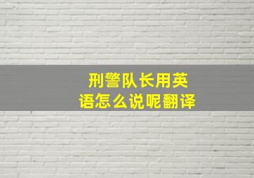 刑警队长用英语怎么说呢翻译