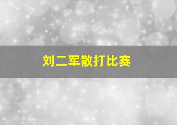 刘二军散打比赛