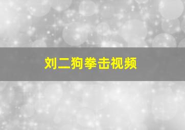 刘二狗拳击视频