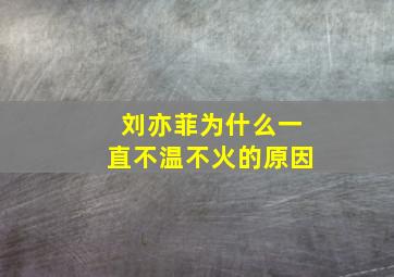 刘亦菲为什么一直不温不火的原因