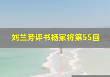 刘兰芳评书杨家将第55回