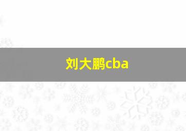 刘大鹏cba