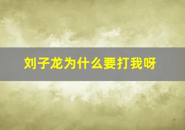 刘子龙为什么要打我呀