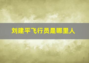 刘建平飞行员是哪里人