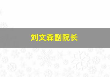 刘文森副院长