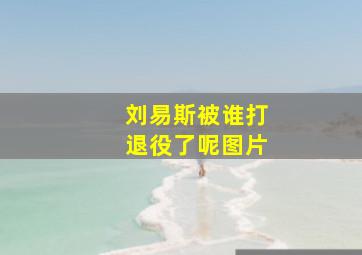 刘易斯被谁打退役了呢图片