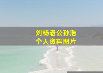 刘畅老公孙浩个人资料图片