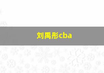 刘禹彤cba