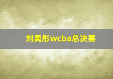 刘禹彤wcba总决赛