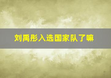 刘禹彤入选国家队了嘛