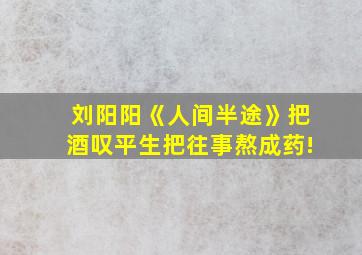 刘阳阳《人间半途》把酒叹平生把往事熬成药!