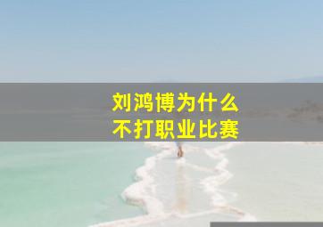 刘鸿博为什么不打职业比赛