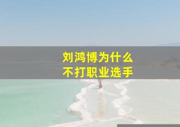 刘鸿博为什么不打职业选手