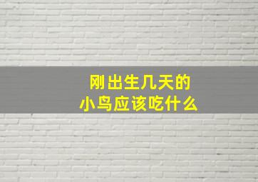 刚出生几天的小鸟应该吃什么