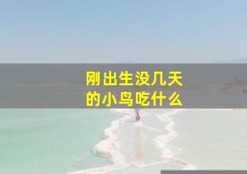 刚出生没几天的小鸟吃什么