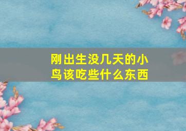 刚出生没几天的小鸟该吃些什么东西