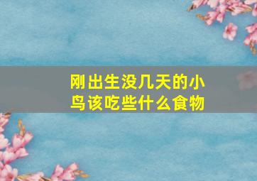 刚出生没几天的小鸟该吃些什么食物