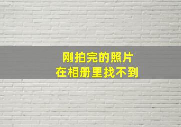 刚拍完的照片在相册里找不到