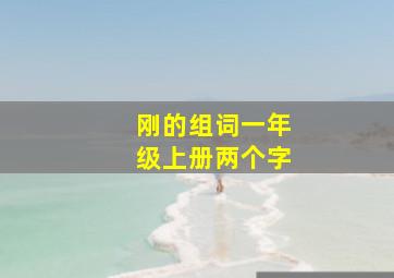 刚的组词一年级上册两个字