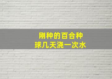 刚种的百合种球几天浇一次水